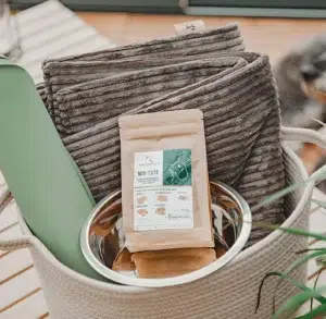 Hundekorb – Alles für glückliche Fellnasen