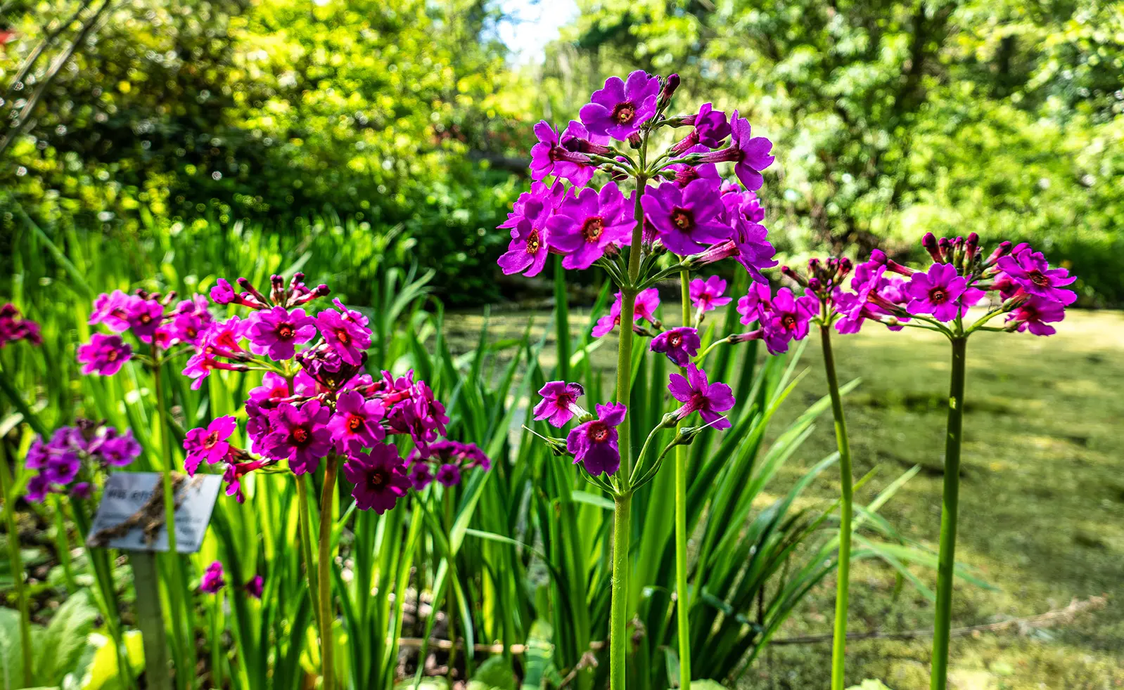 Ökologisch-Botanische Garten Bayreuth