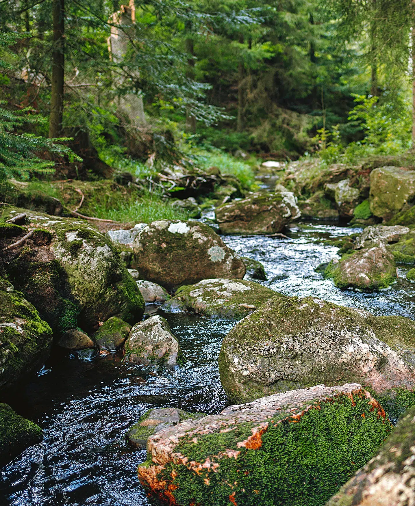 Eure Ferienwohnung zwischen Fichtelgebirge und Bayreuth