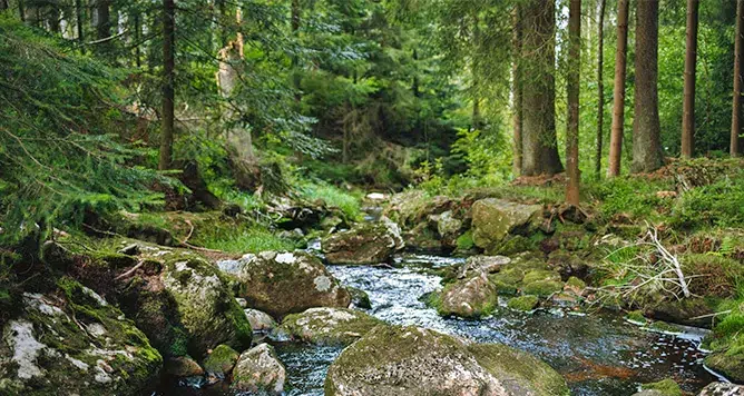 Eure Ferienwohnung zwischen Fichtelgebirge und Bayreuth